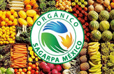 Naranja orgánica (500g)